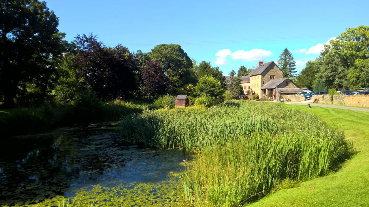 Haselbury Mill Hotel Crewkerne Exterior foto